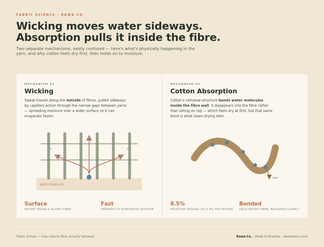 Sweat wicking and moisture absorption in cotton fabric